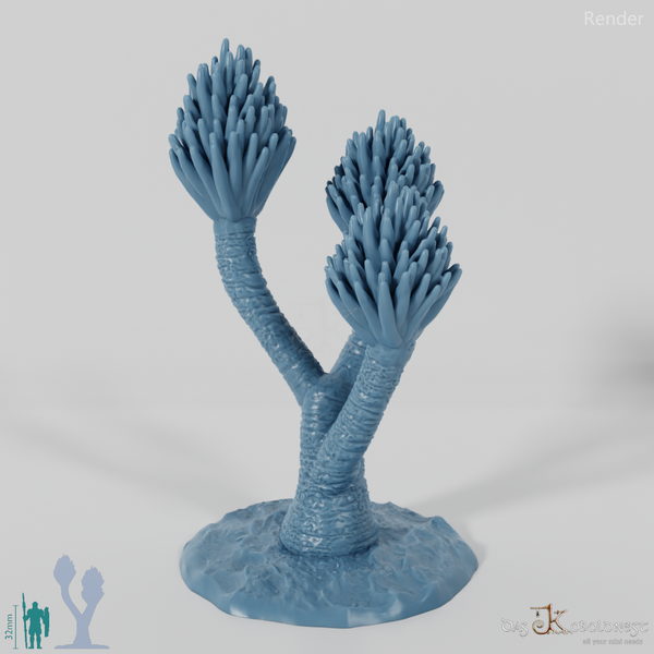 Palm lily with trunk