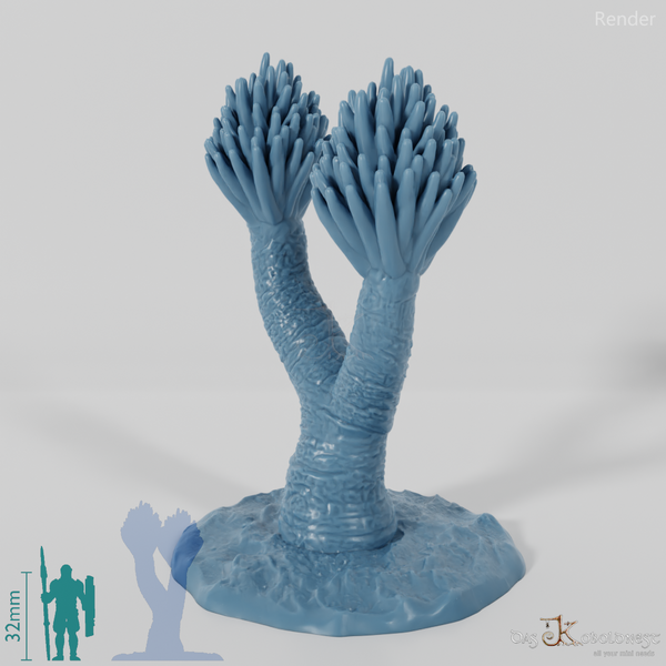 Palm lily with trunk