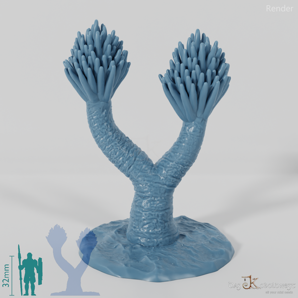 Palm lily with trunk