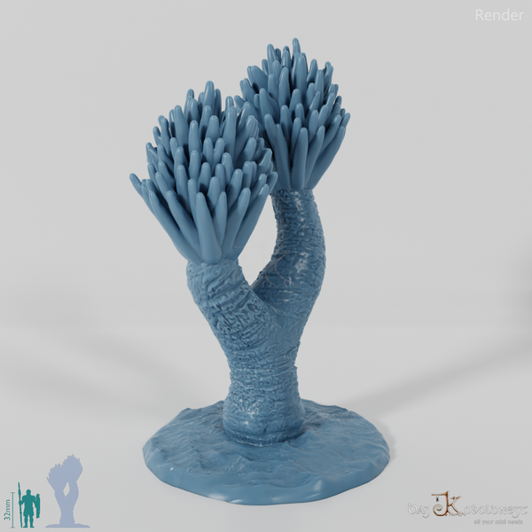 Palm lily with trunk