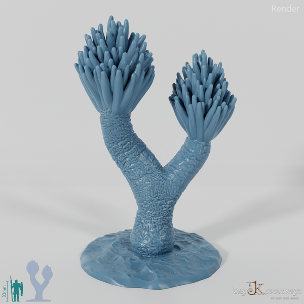 Palm lily with trunk