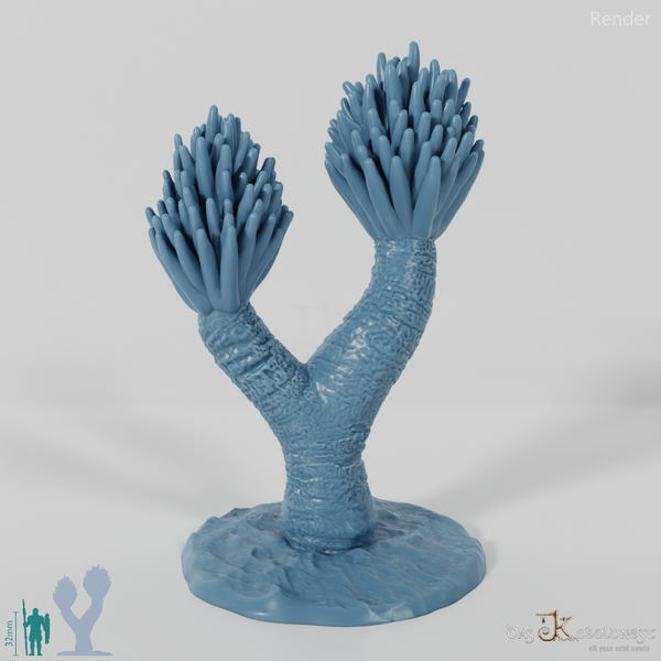 Palm lily with trunk