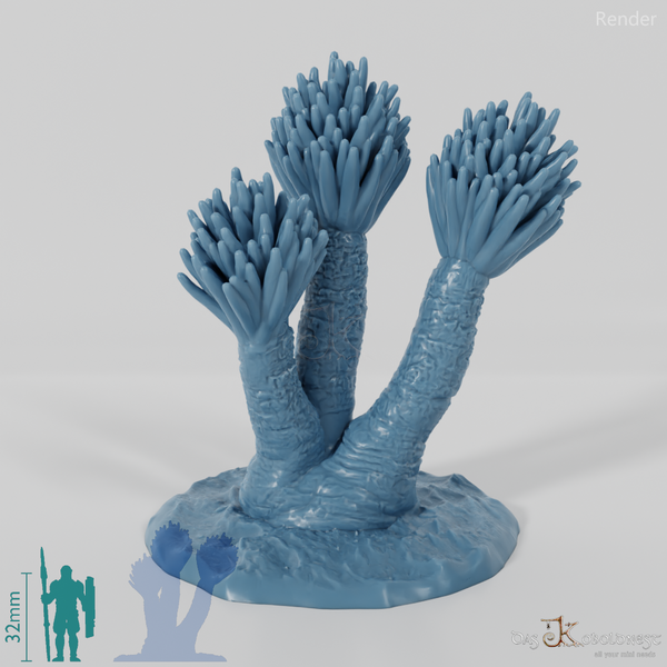 Palm lily with trunk