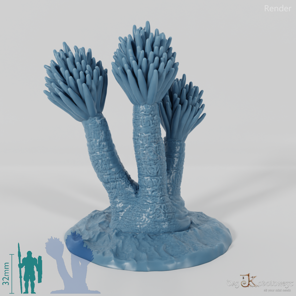 Palm lily with trunk