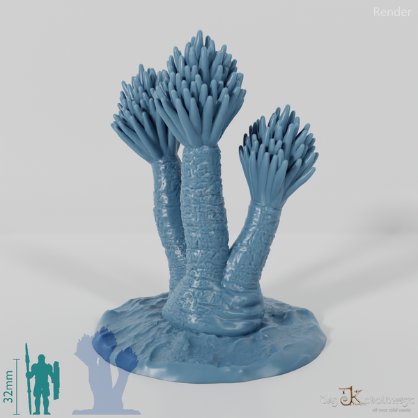 Palm lily with trunk