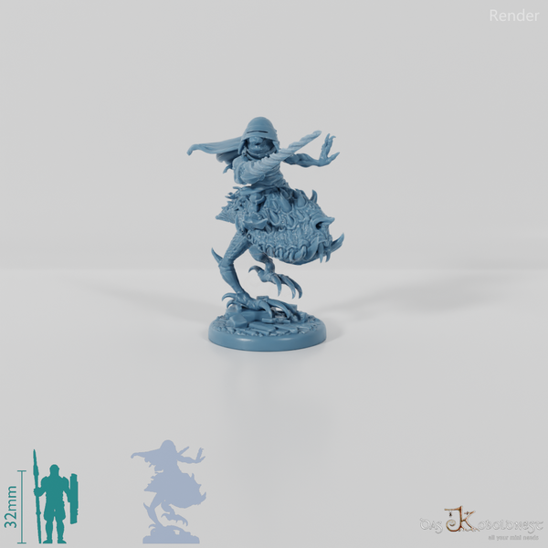 Berggoblin-Trollhundreiter 04