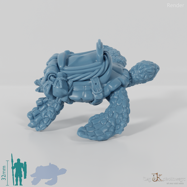 Schildkröte - Gesattelte Meeresschildkröte