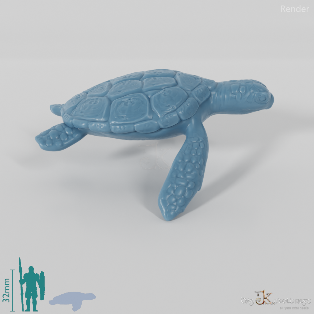 Turtle - Sea Turtle 02