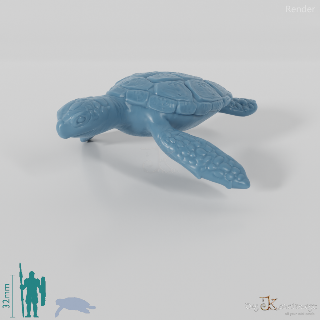 Turtle - Sea Turtle 02