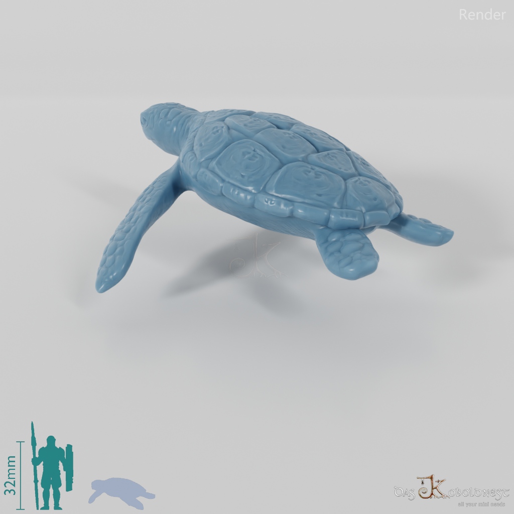 Turtle - Sea Turtle 02