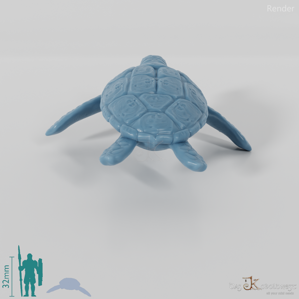 Turtle - Sea Turtle 02