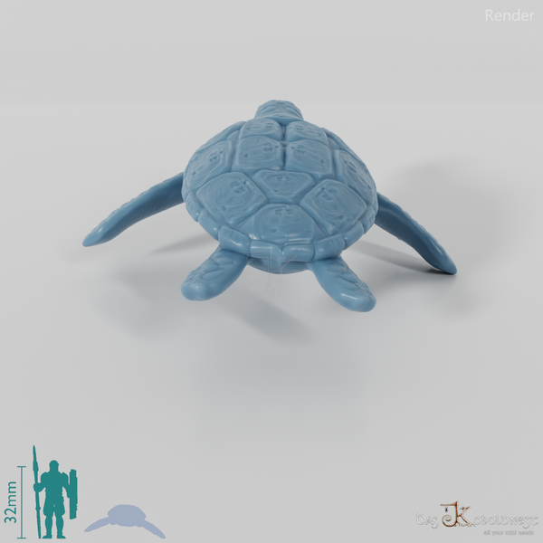 Turtle - Sea Turtle 02