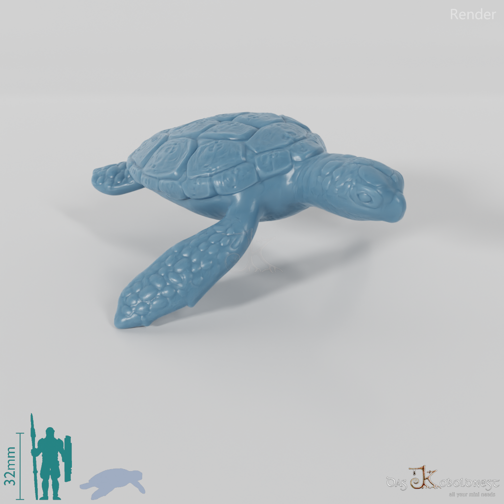 Turtle - Sea Turtle 02