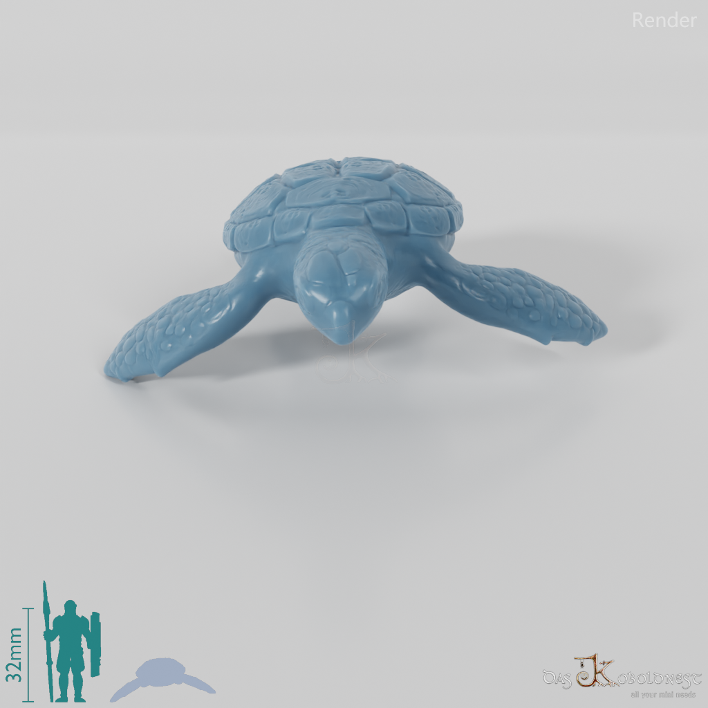 Turtle - Sea Turtle 02