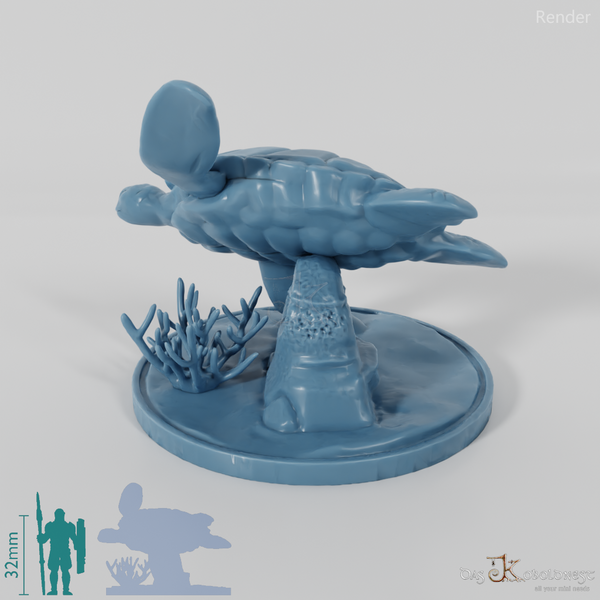 Turtle - sea turtle on rock