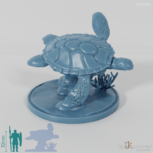 Turtle - sea turtle on rock