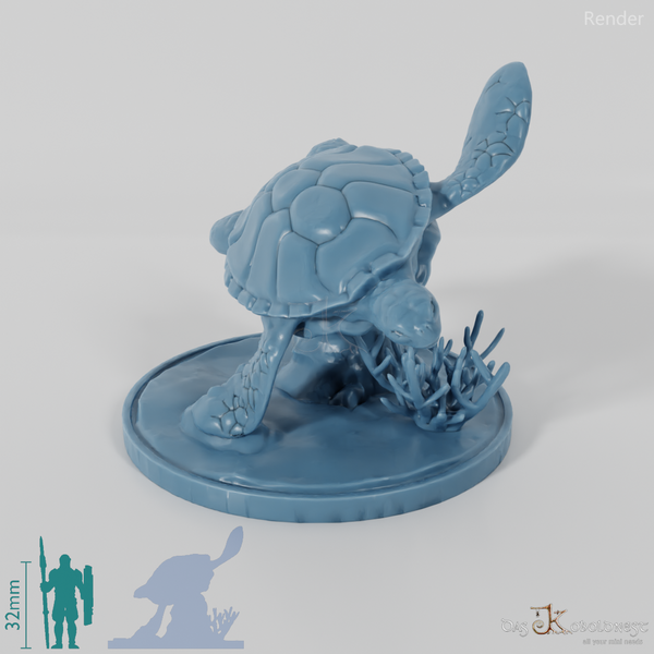 Turtle - sea turtle on rock