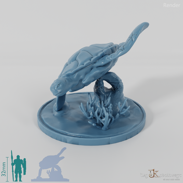 Turtle - sea turtle on rock