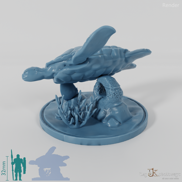 Turtle - sea turtle on rock