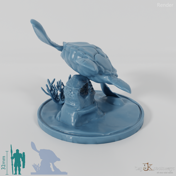 Turtle - sea turtle on rock