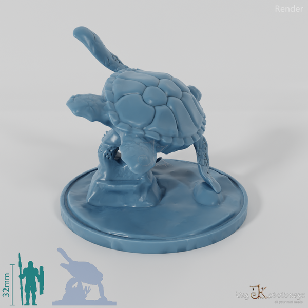 Turtle - sea turtle on rock