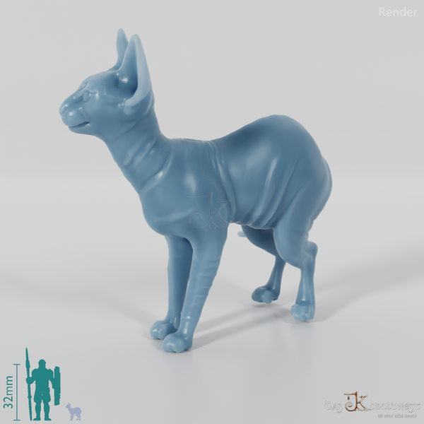 Cat - Ursula, standing Sphynx