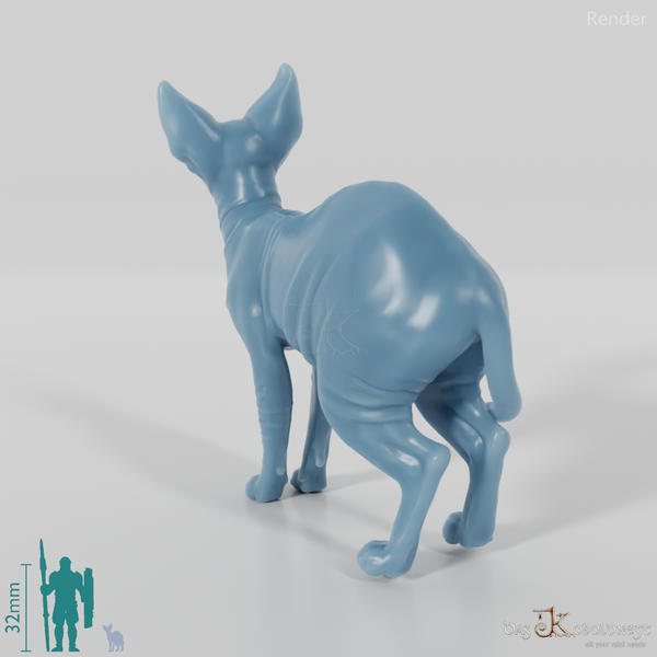 Cat - Ursula, standing Sphynx