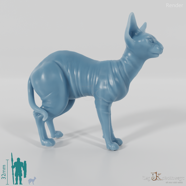 Cat - Ursula, standing Sphynx