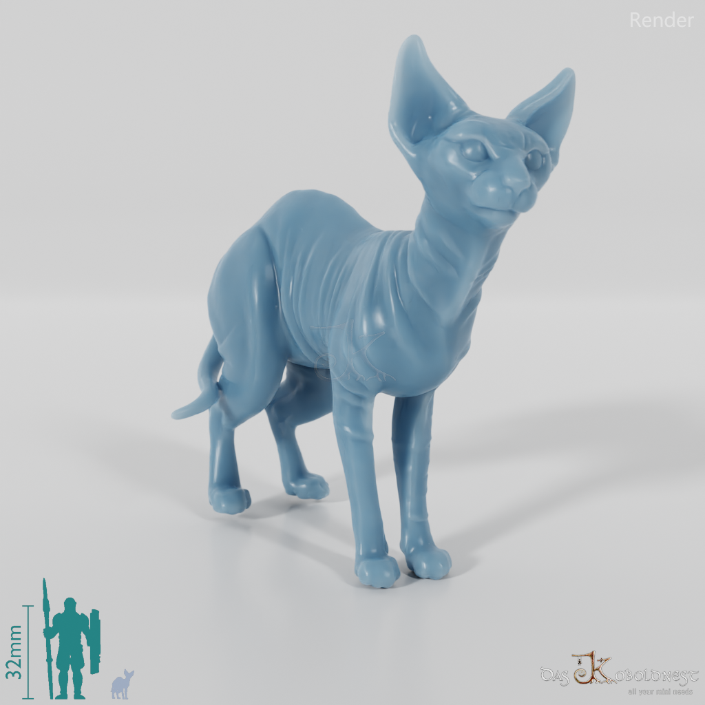 Cat - Ursula, standing Sphynx