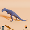 Vitosaura colozacani 02 - JJP