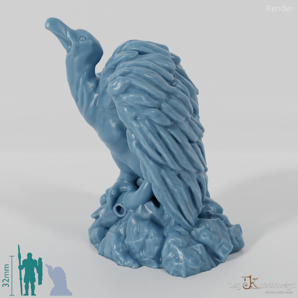 Bird of prey - Greater Griffon Vulture