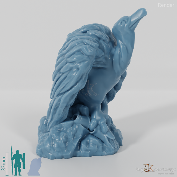 Bird of prey - Greater Griffon Vulture