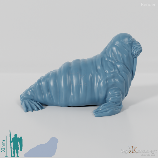 Seal - Walrus 01