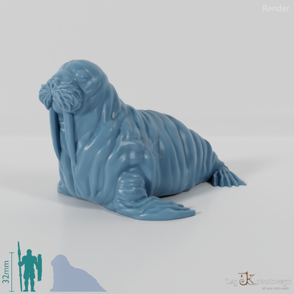 Seal - Walrus 01