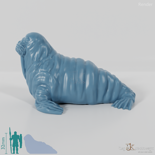 Seal - Walrus 01