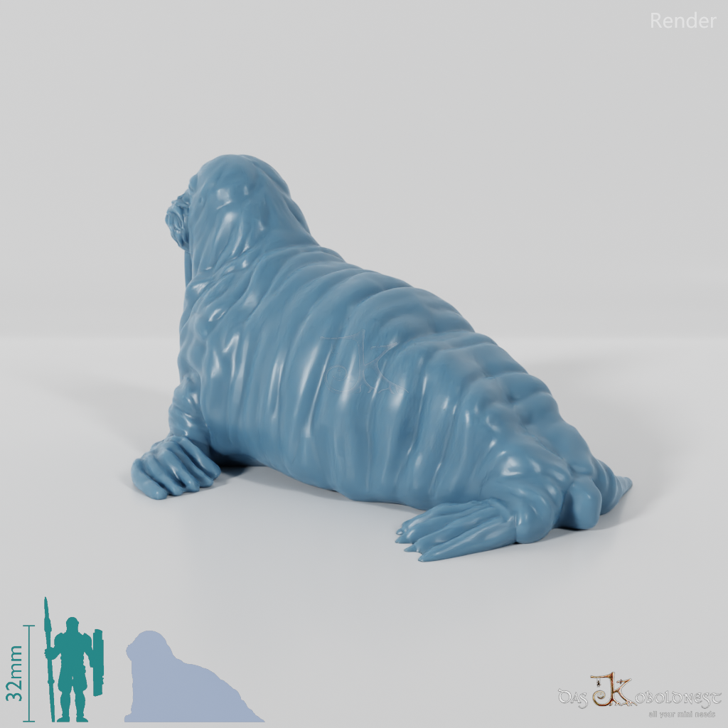 Seal - Walrus 01