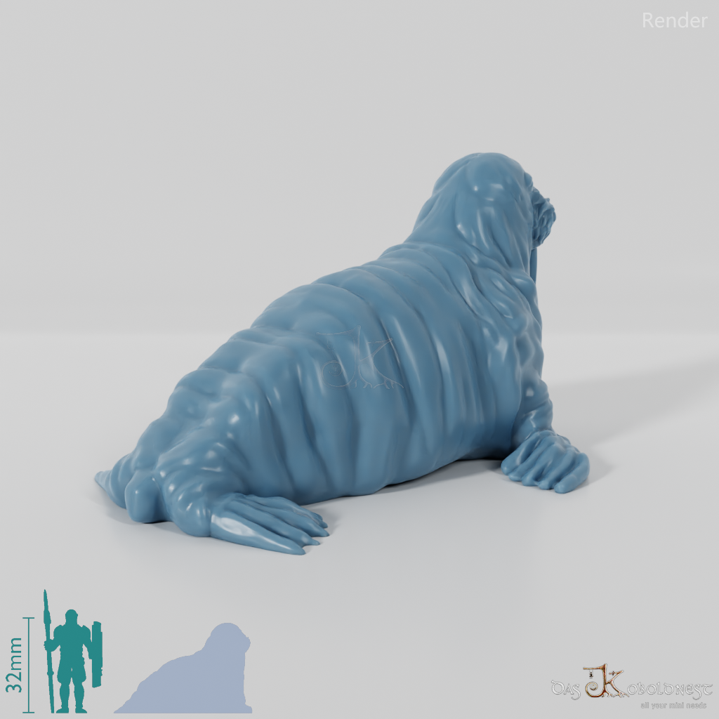 Seal - Walrus 01