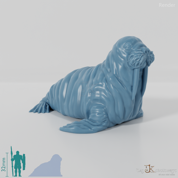 Seal - Walrus 01