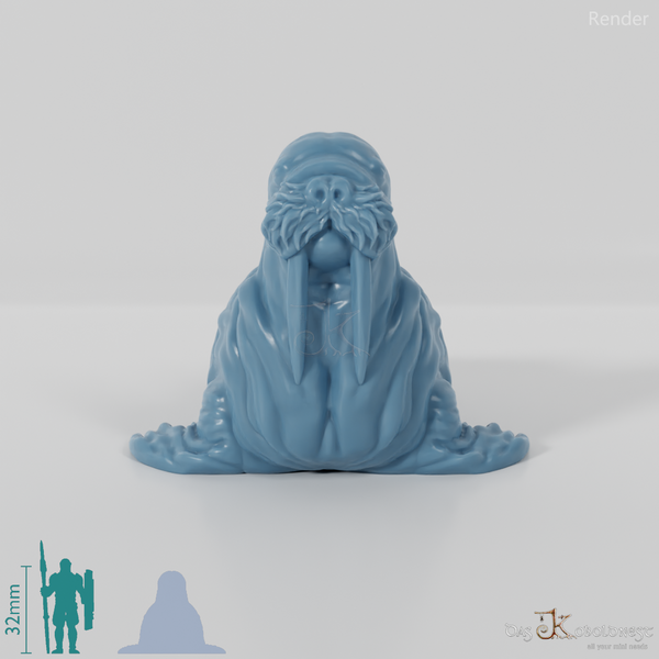 Seal - Walrus 01