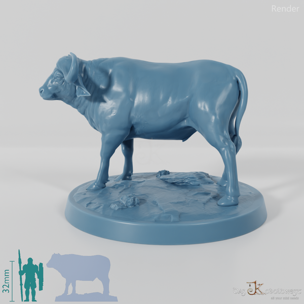 Tabiri, powerful water buffalo