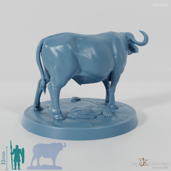 Tabiri, powerful water buffalo