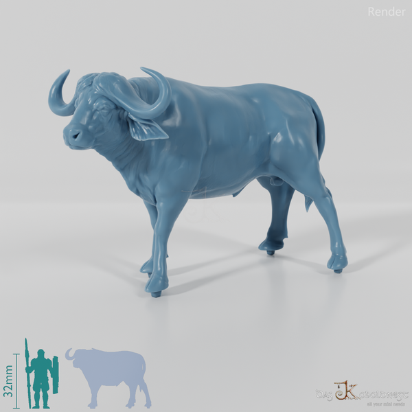 Tabiri, powerful water buffalo