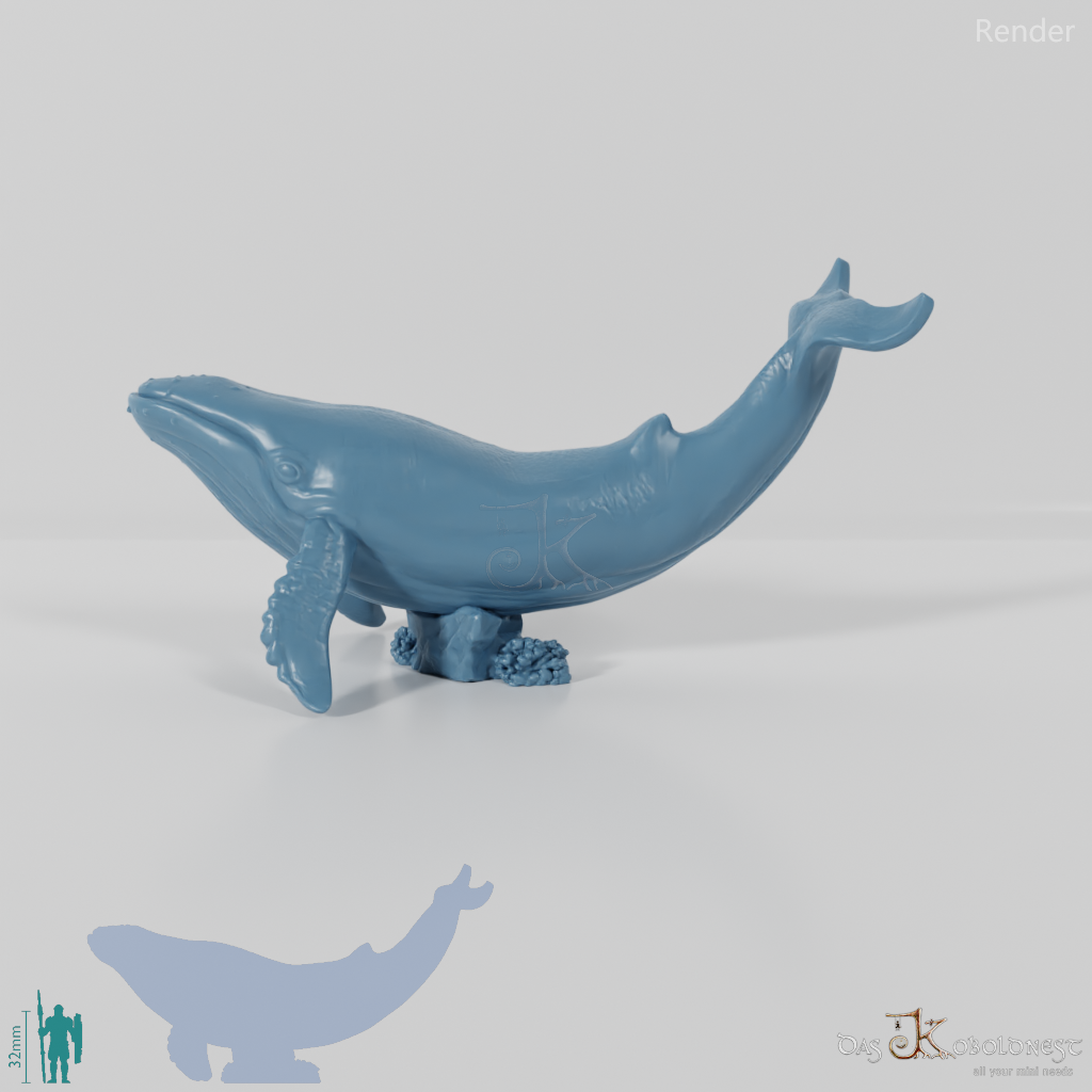 Whale - Blue Whale 01