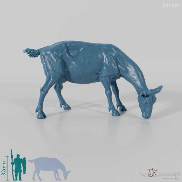 Goat - Mountain Goat 03