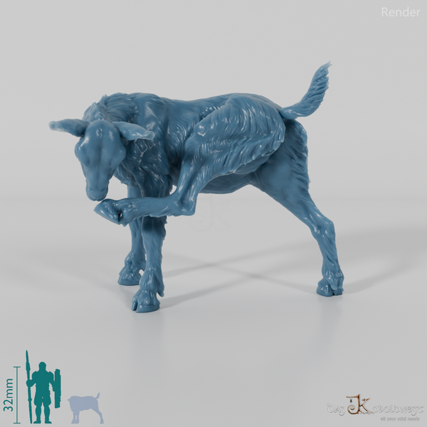 Goat - Mountain Goat - Fawn 02