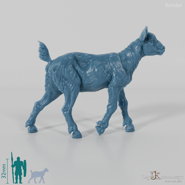 Goat - Mountain Goat - Fawn 06