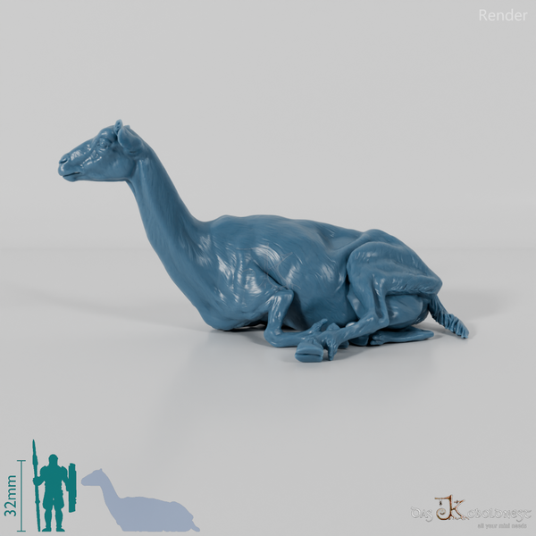 Goat - Mountain Goat 04