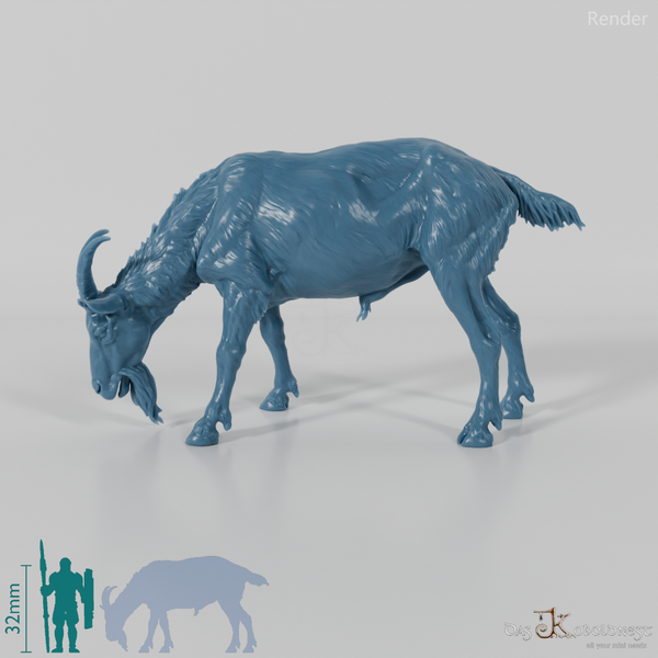 Goat - mountain goat - billy goat 02