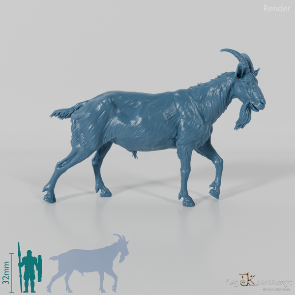 Goat - mountain goat - billy goat 03