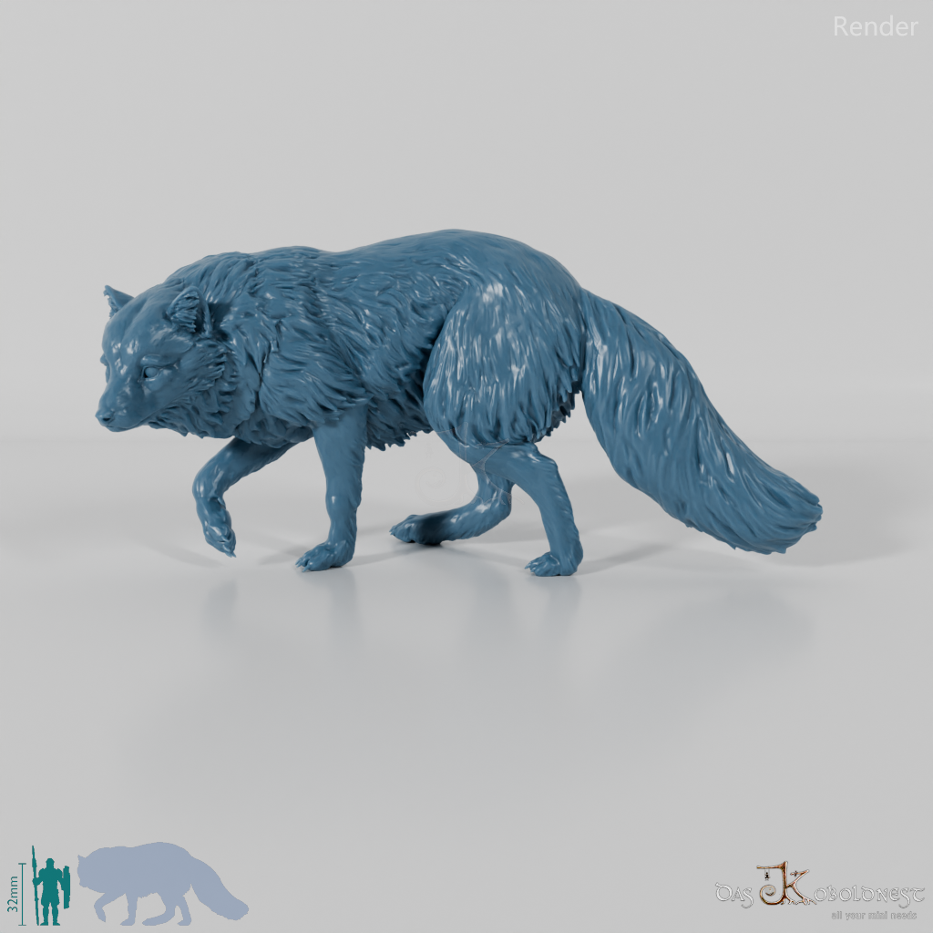 Fox - Arctic Fox 01